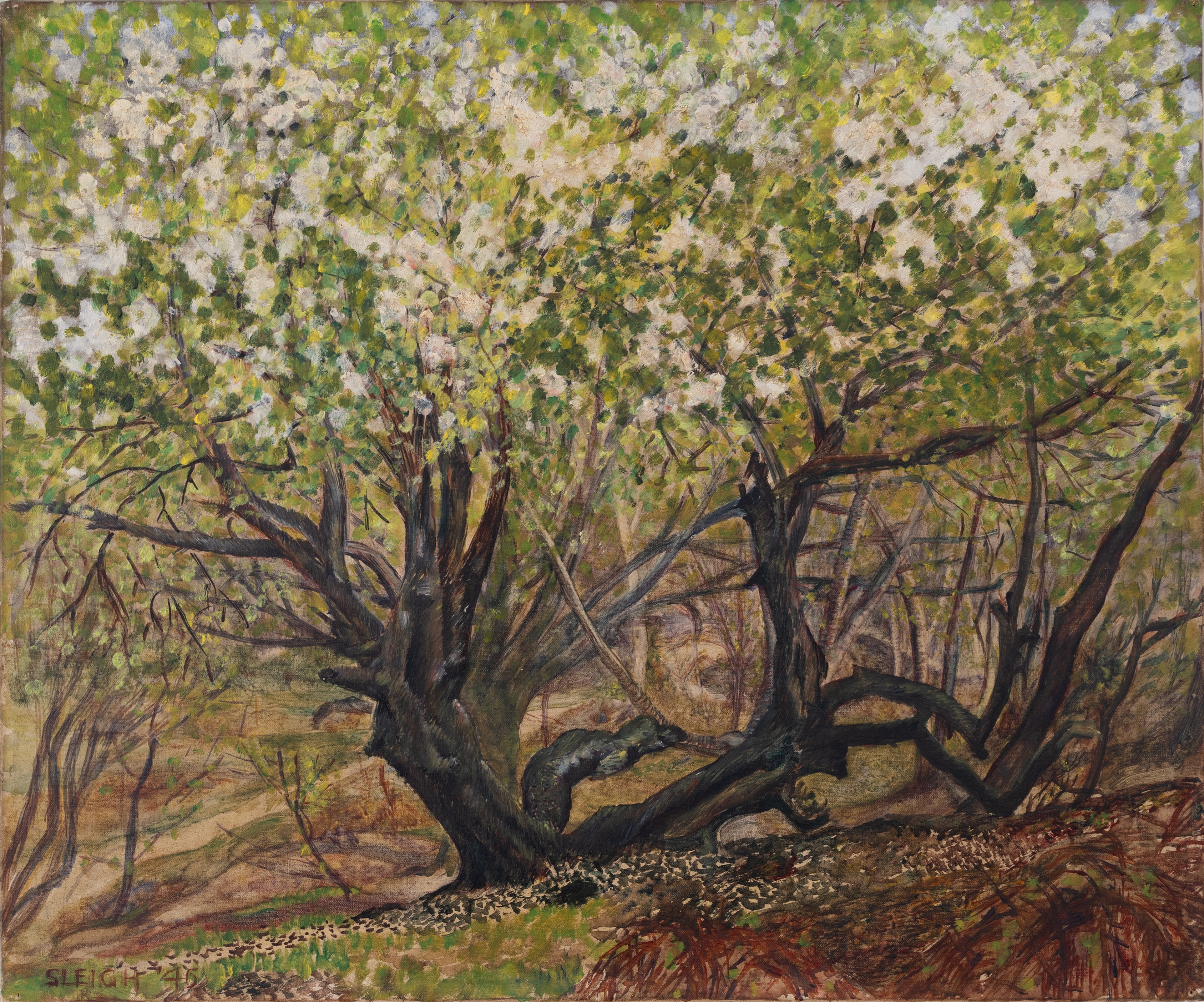 sylvia sleigh oil paintings