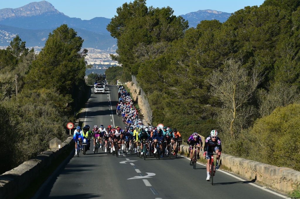 PALMA SPAIN JANUARY 30 A general view of the peloton competing during the 1st Challenge Ciclista Mallorca 2022 Trofeo Playa De PalmaPalma a 1691km race from Playa de Palma to Palma ChallengeMallorca on January 30 2022 in Palma Spain Photo by Dario BelingheriGetty Images