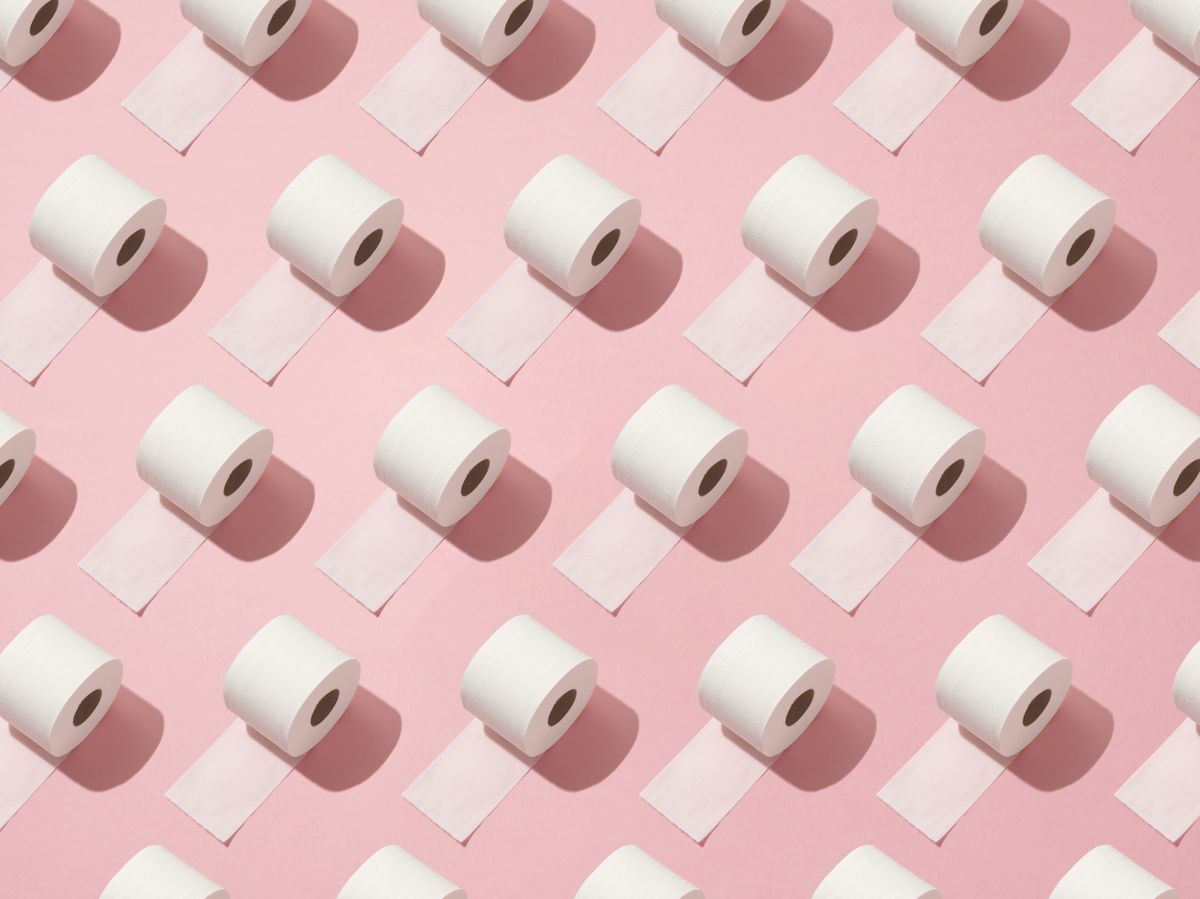 Where to buy toilet roll? From these online shops! Real Homes