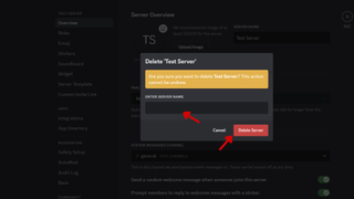 A screenshot of the Discord web app's Server Settings page with red arrows pointing at the Enter Server Name text box and the Delete Server button. 