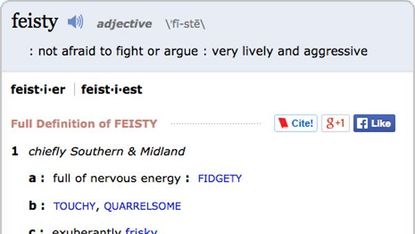 feisty dictionary