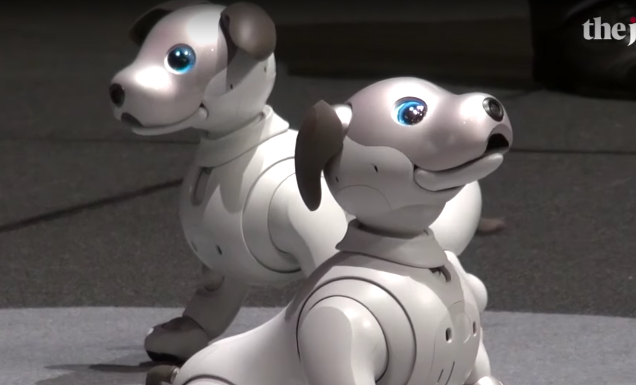 Aibo Sony robot dog.