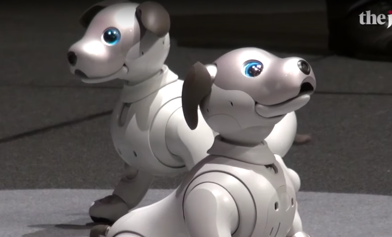 ソニーaibo Sony's new Aibo now comes in chocolate | The Verge