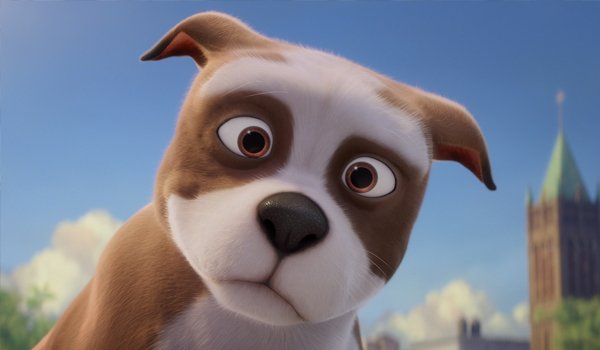 Sgt. Stubby An American Hero