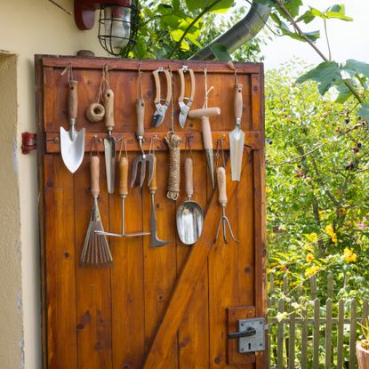 tools in a garden shed