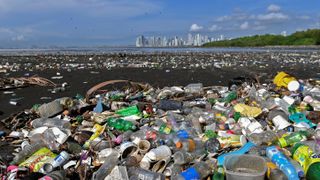 a shoreline covered in plastic waste with a city and green trees in the background