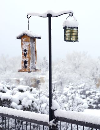 bird feeders in snow