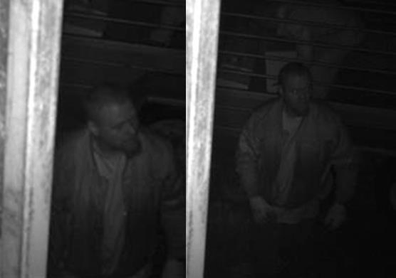 wine theft, clare valley, australian wine