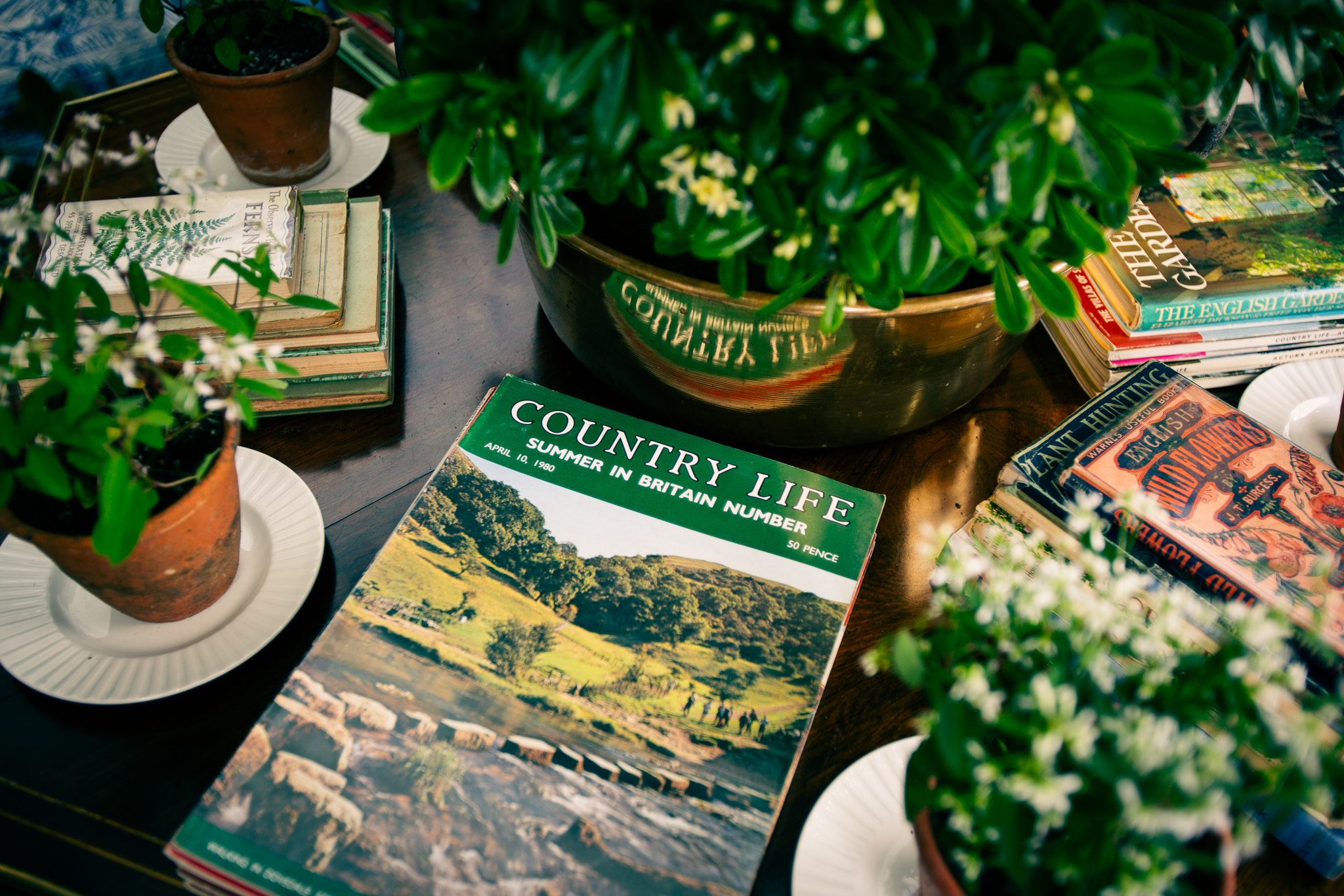 RHS Chelsea Flower Show 2026