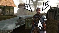 Guy on the boat at the start of Morrowind, quest markers arranged around his head.