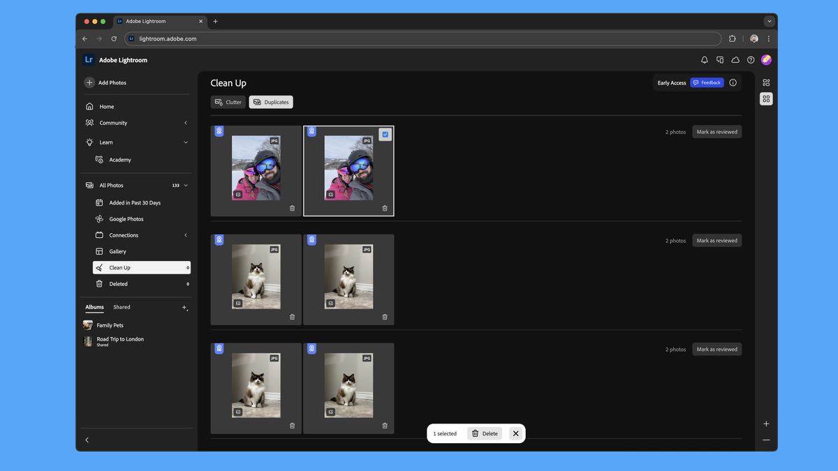 A screenshot of Adobe Lightroom&#039;s Clean Up tool