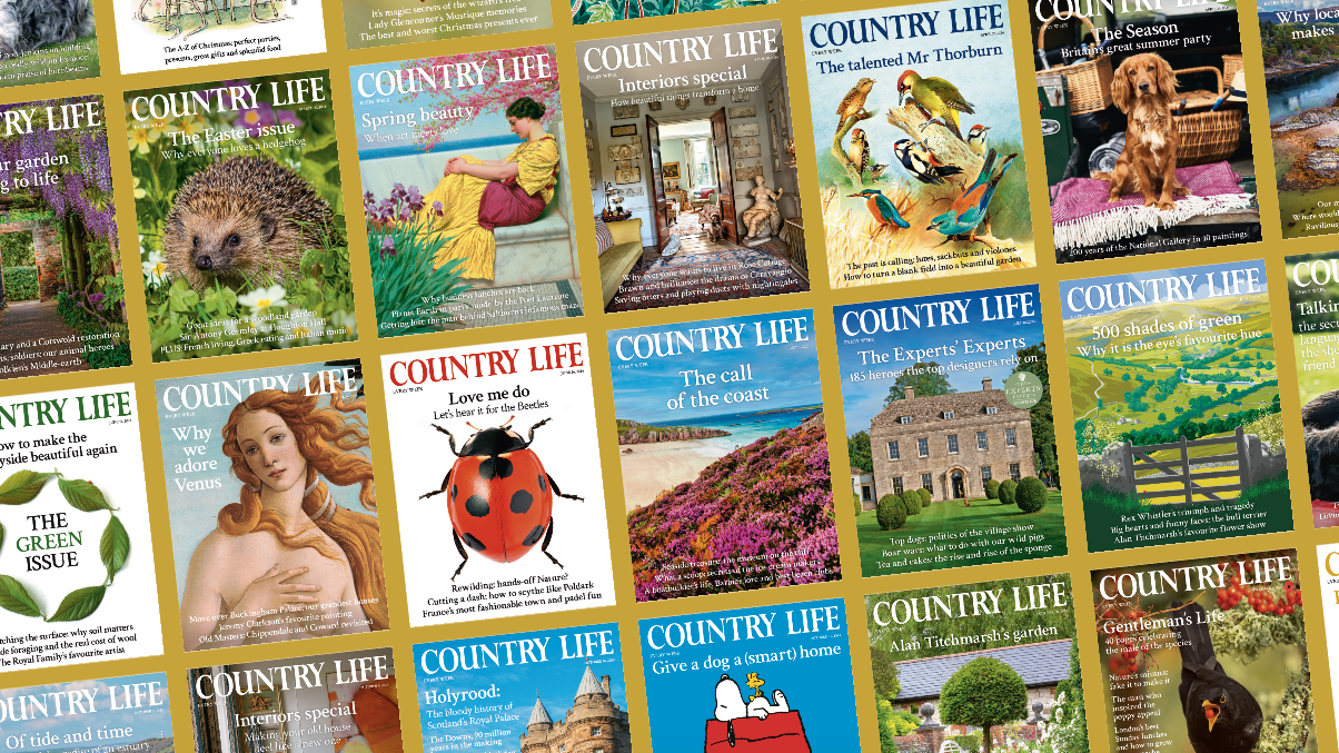 Country Life covers collage