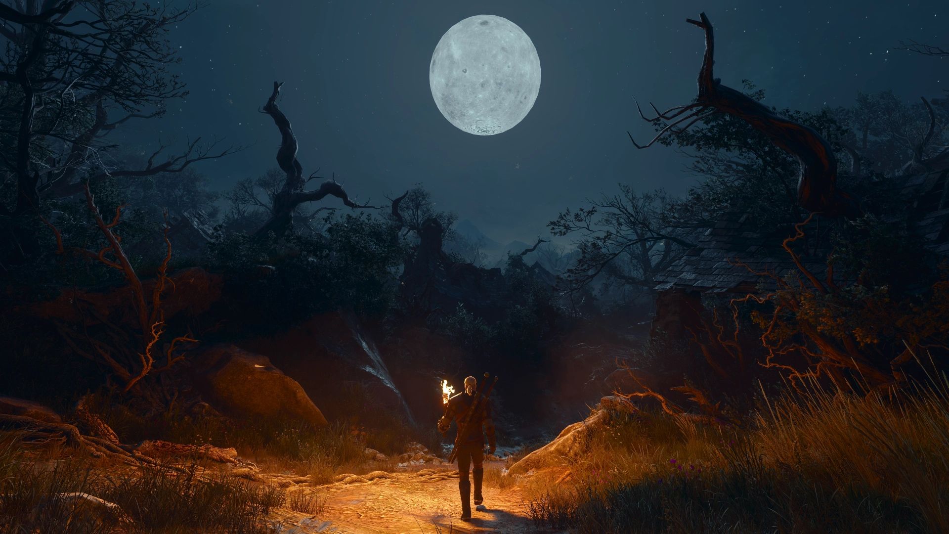 The Witcher 3: Songs of the Past is happening because CDPR believes "there is still more to say"