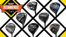 Best drivers for seniors