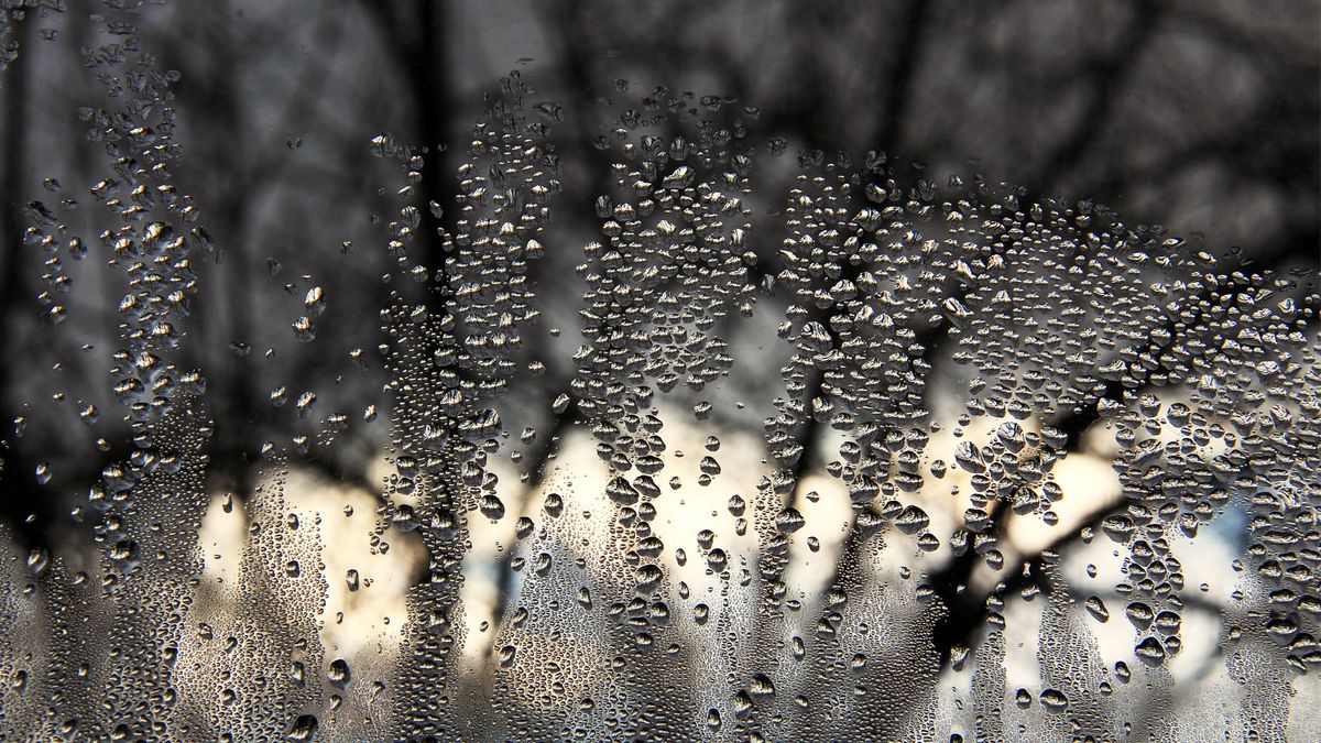 Condensation inside. Condensation outside. What it all means
