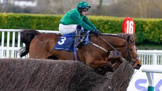 Paul Townend riding El Fabiolo mid-jump during the Sporting Life Arkle Challenge Trophy Novices' Chase during the 2023 Cheltenham Festival