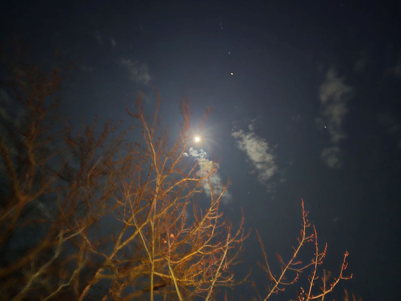 Samsung Galaxy S24 Ultra low light sample.