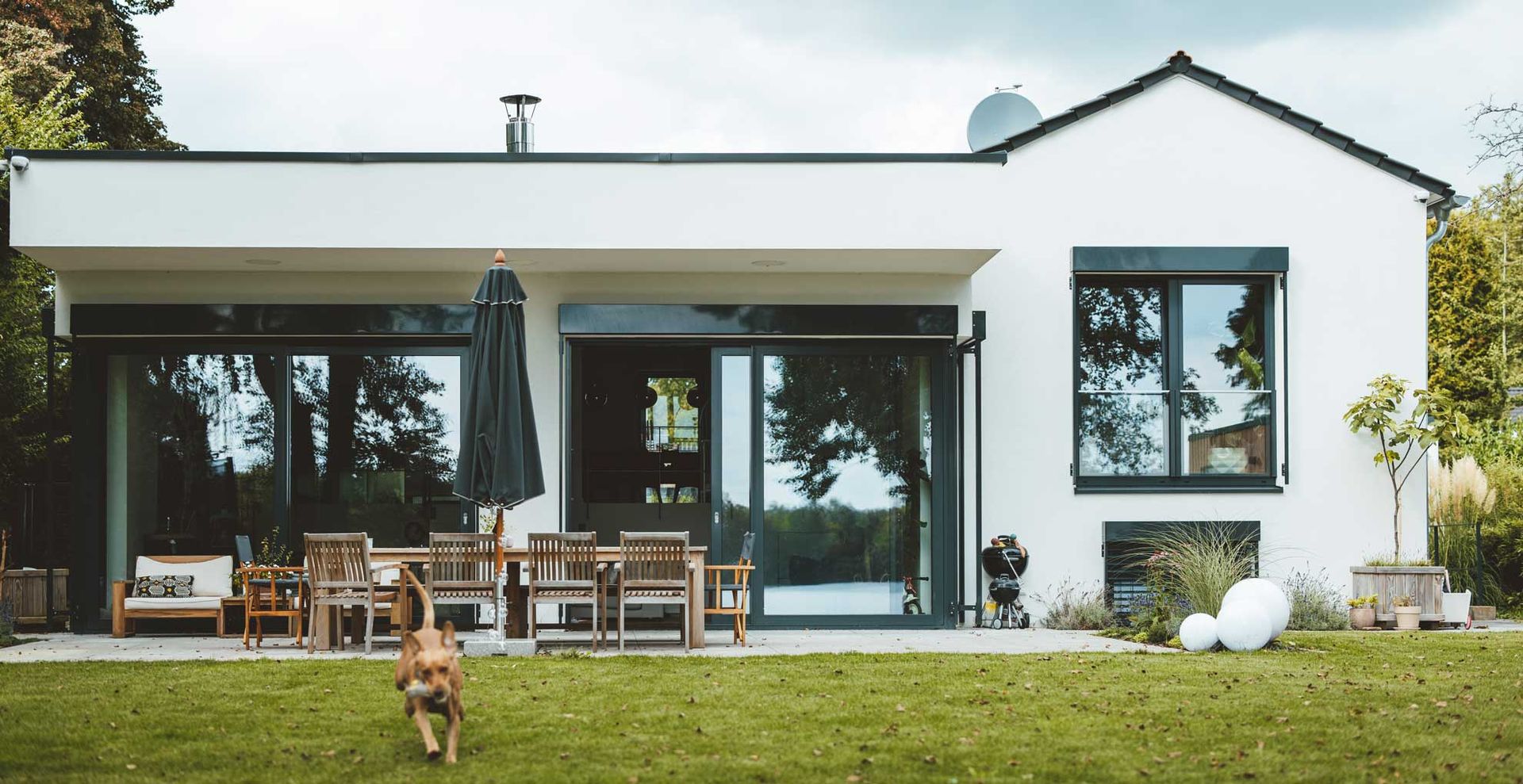 Exterior of a house single storey house with a dog running in the backyard to show how cleaning is a great way to make your house look expensive from the outside