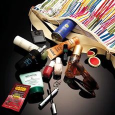 kristen bell makeup bag