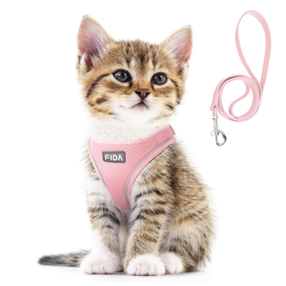 Fida Kitten Harness