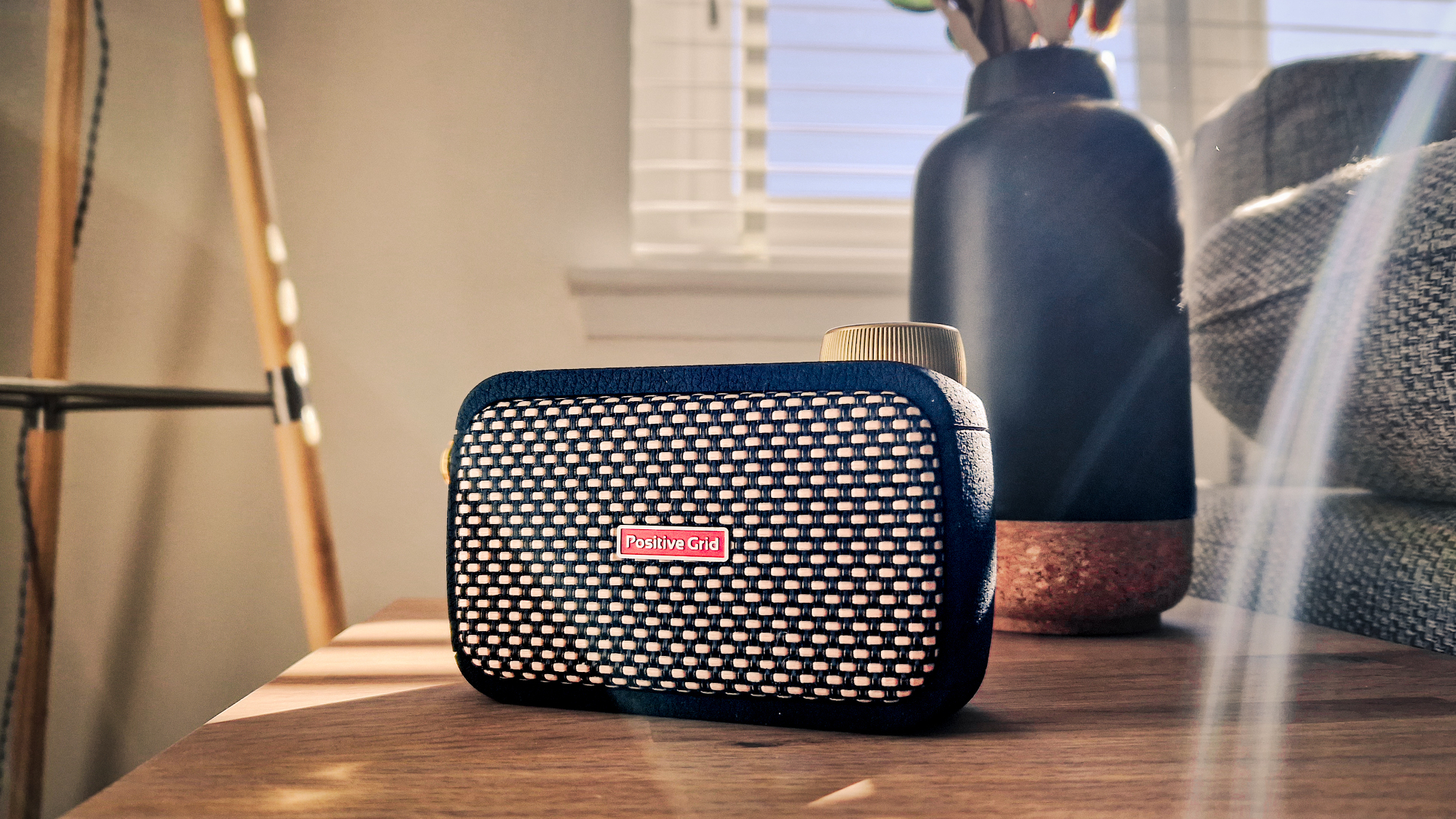 Positive Grid Spark GO Ultra-portable Smart Guitar Amp and Bluetooth Speaker