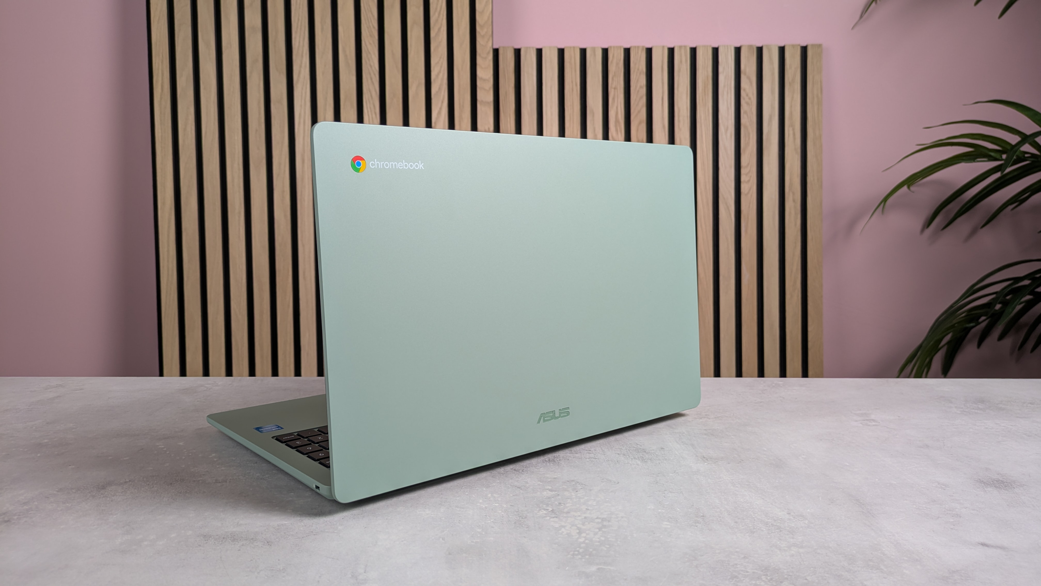 Back of ASUS Chromebook CX1505, open on desk with wooden panels, pink wall, and plant in background