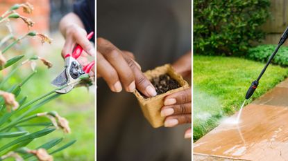 composite of pruning daffodils, sowing seeds and pressure washing patio