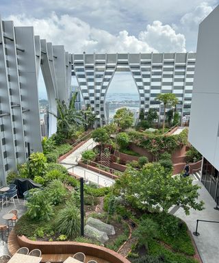 Lush roof garden atop a skyscraper with tropical trees and plants