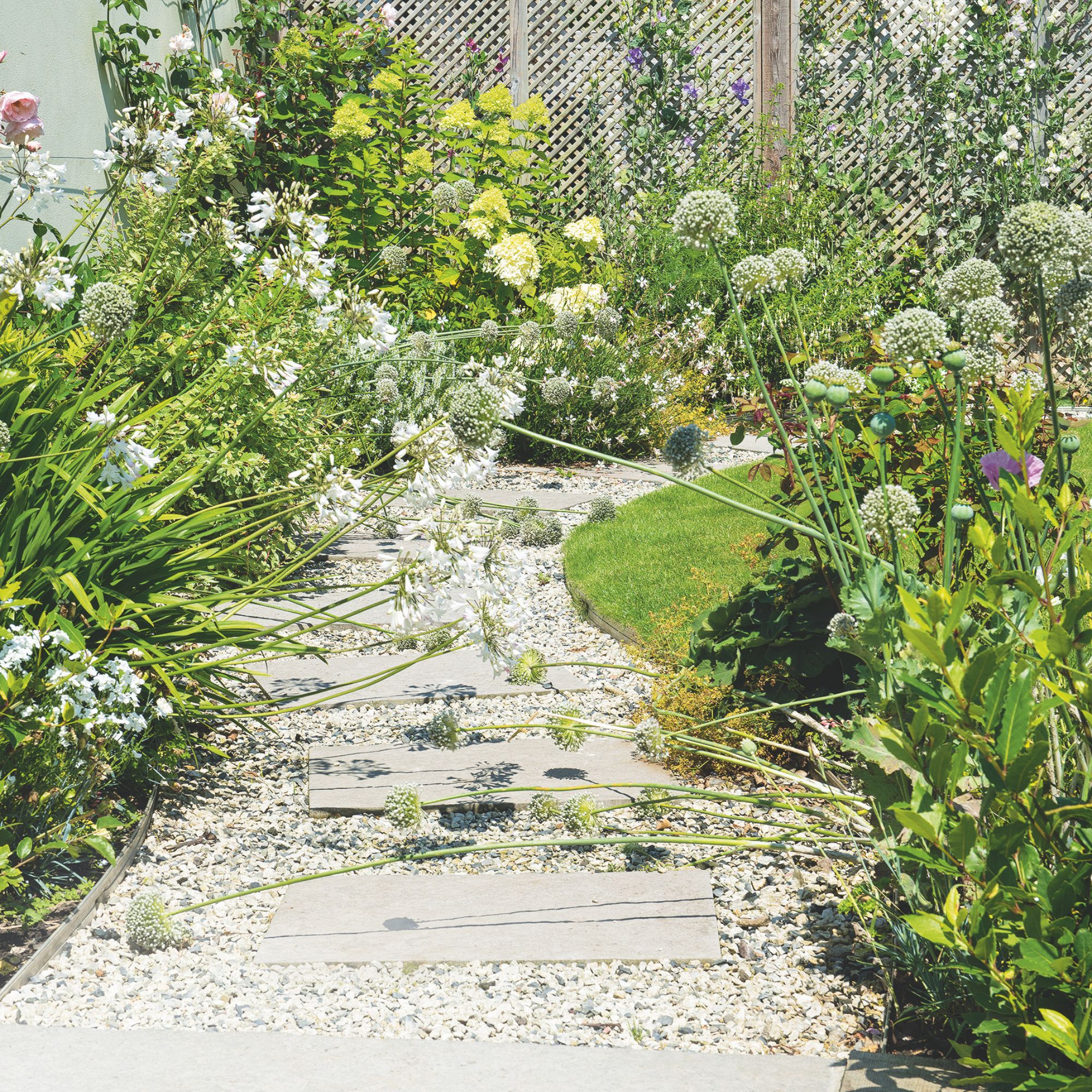Gravel garden path with plants on either side of it