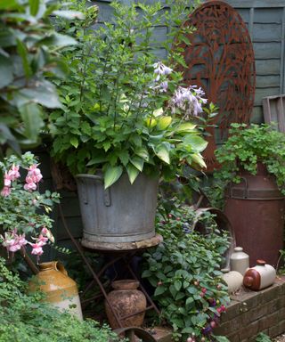reclaimed containers and features in a cottage patio