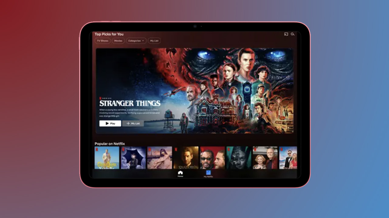 Netflix app on iPad