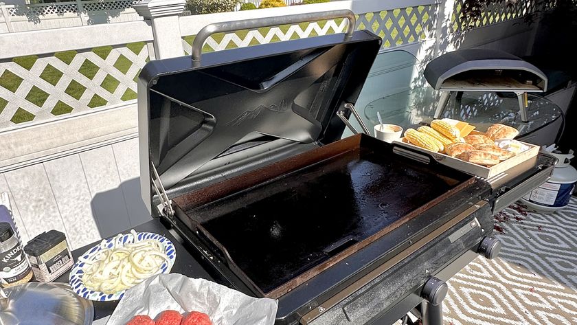 Traeger flat top griddle 