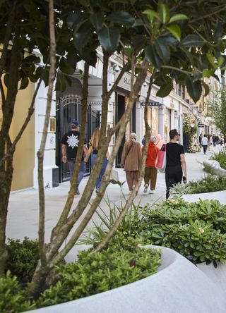 Trees planted along Sloane Street