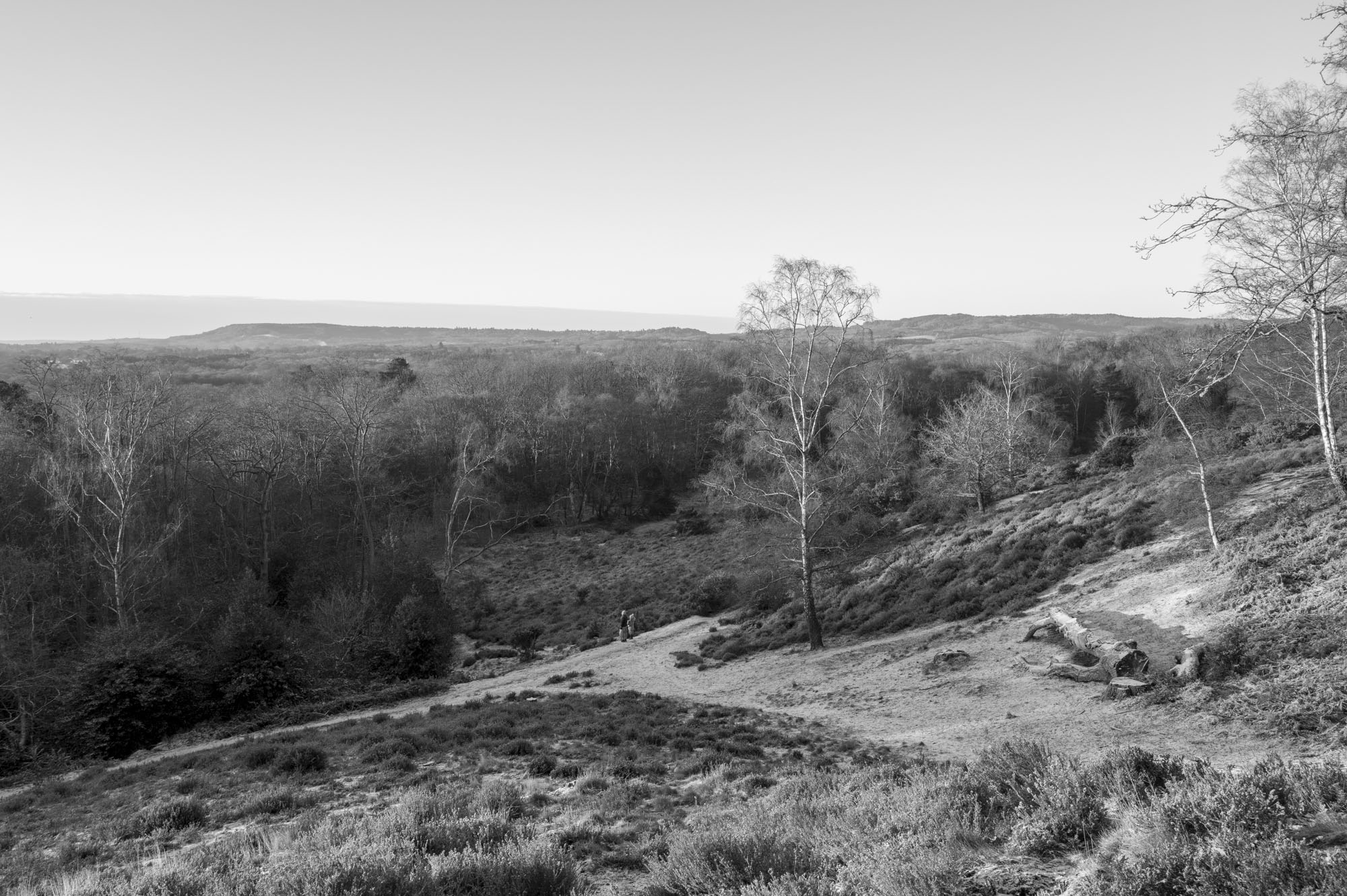 Leica Q3 Monochrom sample gallery: an elevated viewpoint of a common