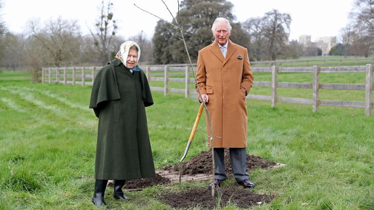 女王伊丽莎白树种植运动的白金禧