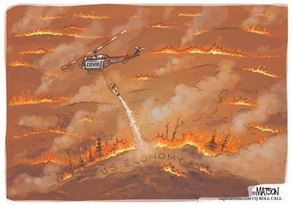 Political Cartoon U.S. wildfires economy congress