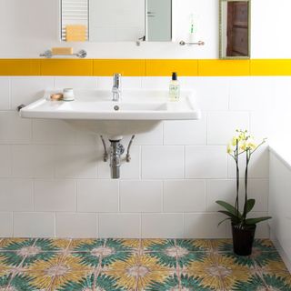 bathroom with wash basin and plant