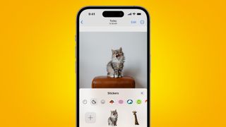 A phone on an orange background showing a cat photo being make into a sticker