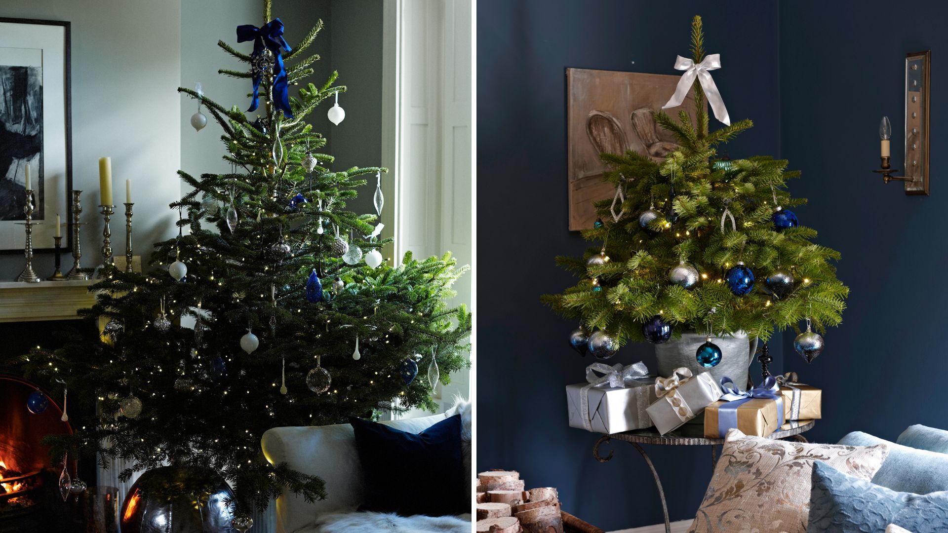 Compilation image with two trees with bows