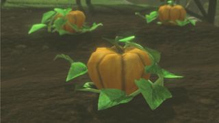 A pumpkin in Tears of the Kingdom