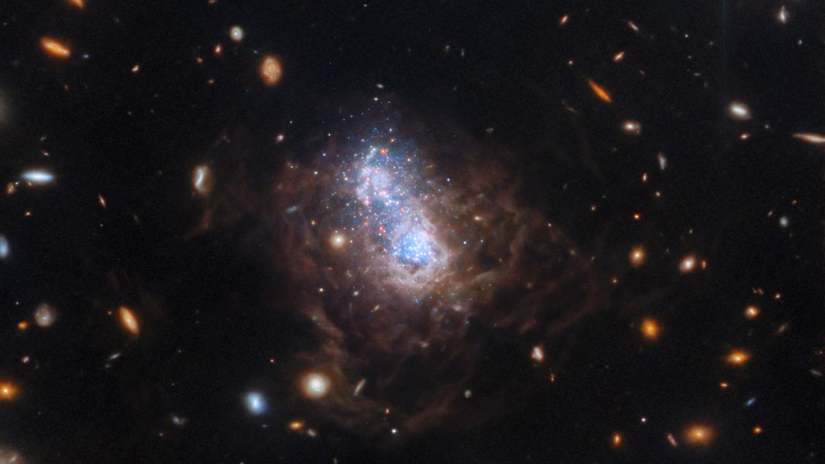 الصورة الفضائية لهذا الأسبوع: تلسكوب جيمس ويب يكشف عن انفجار نجمي مفاجئ في المجرة القديمة