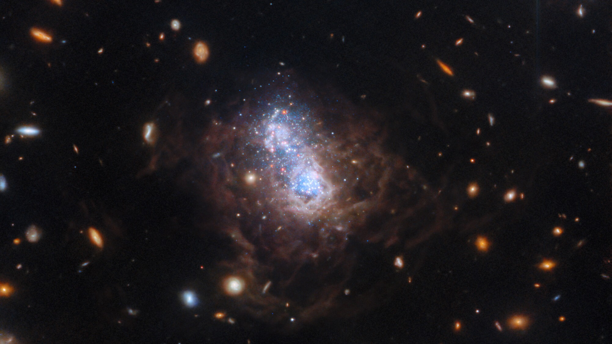 Space photo of the week: James Webb telescope reveals surprising starburst in ancient galaxy