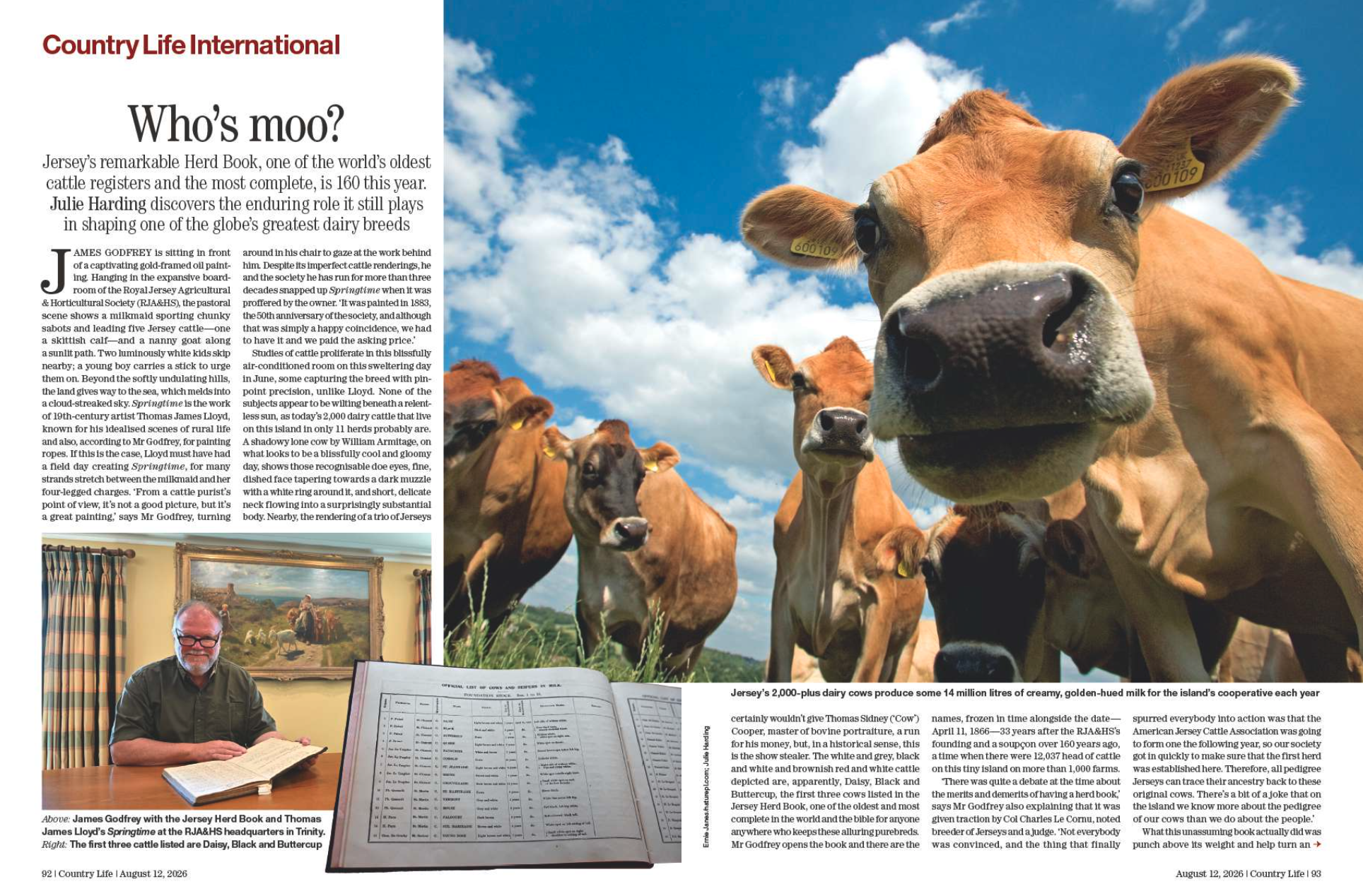 A spread of Country Life magazine with some cows on it