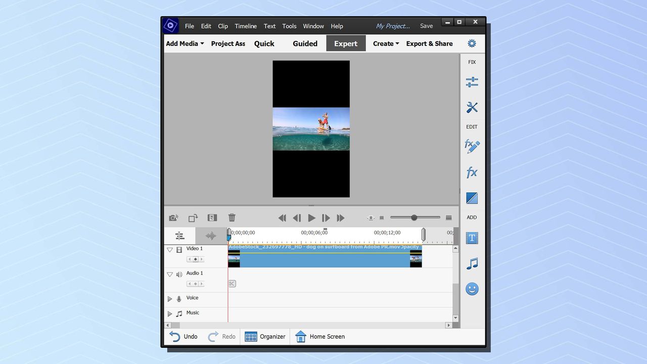 A screenshot from Adobe Premiere Elements 2022 showing a video frame