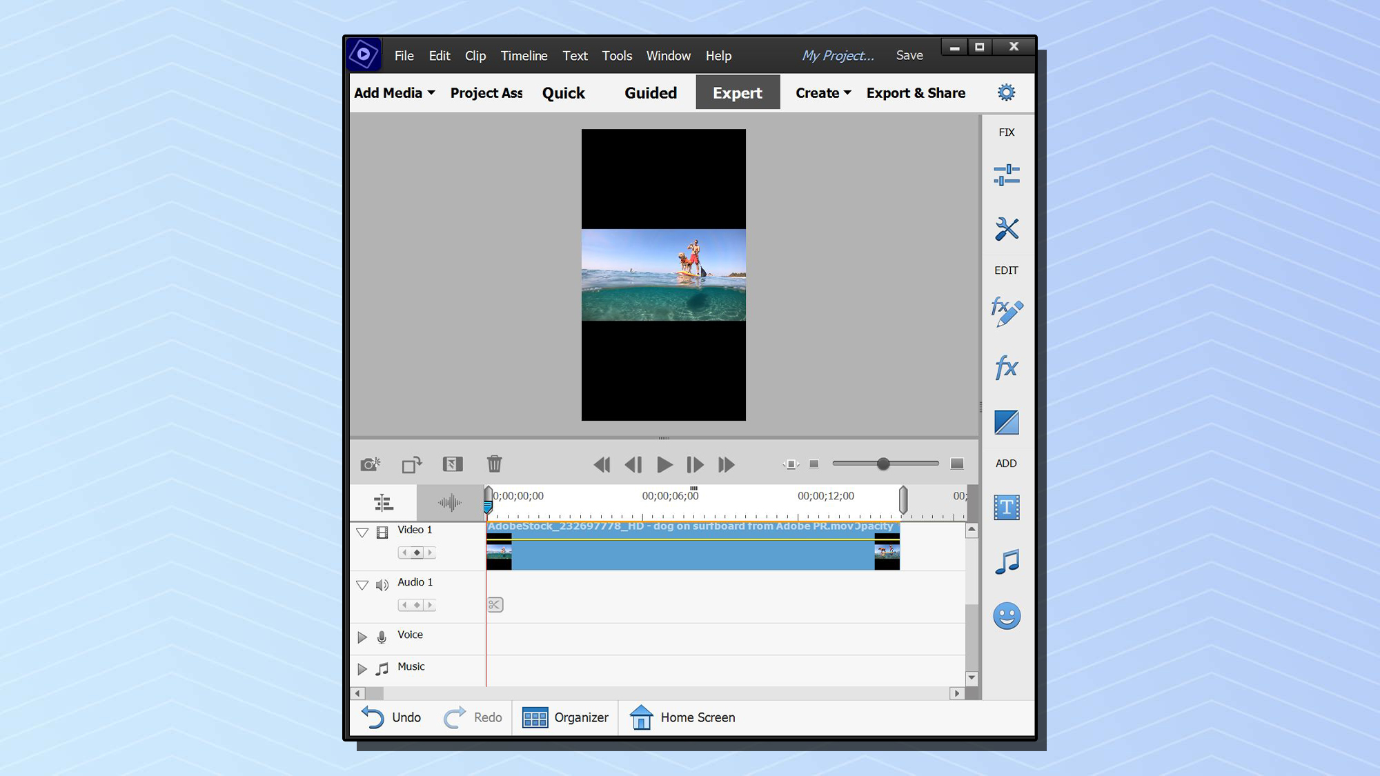 A screenshot from Adobe Premiere Elements 2022 showing a video frame