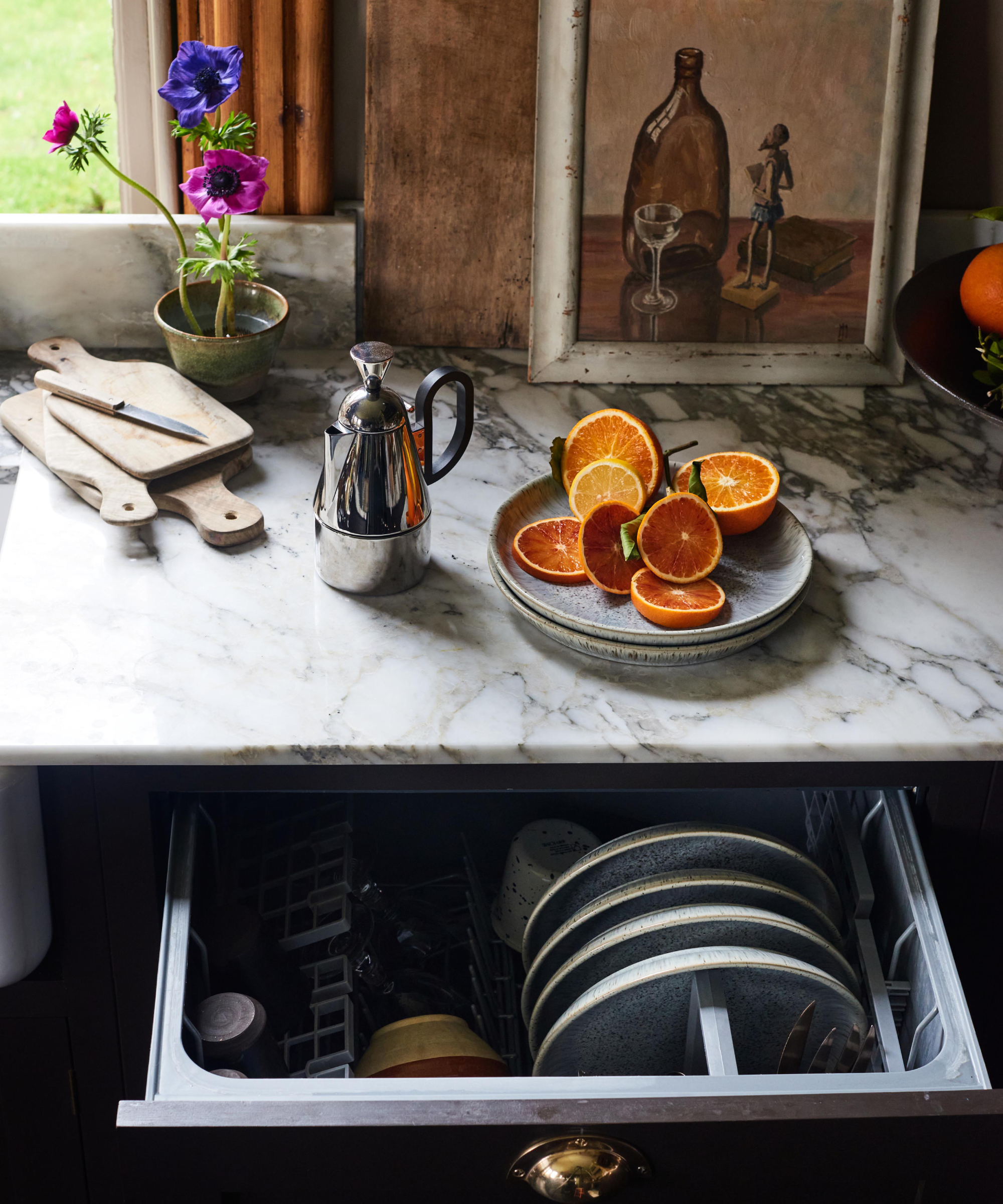 dishwasher drawer unit