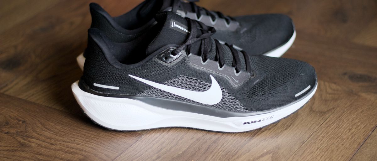 Nike Pegasus 41 in black