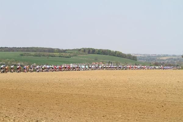 The peloton strung out along the fields