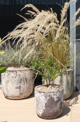 textured pots on a patio with plants inside