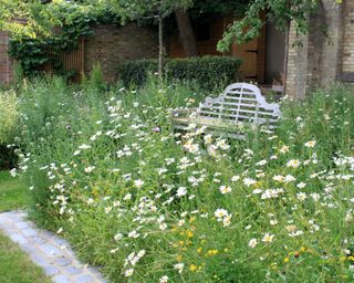Walled garden design with area planted with wildflowers around a bench